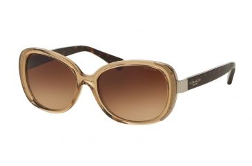 Image of Coach L153 HC8172 Single Vision Prescription Sunglasses HC8172-536913-56 - Lens Diameter 56 mm, Frame Color Crystal Light Brown/Dark Tortoise