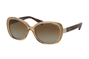 Image of Coach L153 HC8172 Single Vision Prescription Sunglasses HC8172-5369T5-56 - Lens Diameter 56 mm, Frame Color Crystal Light Brown/Dark Tortoise