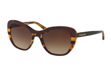Image of Coach L1631 HC8204 Sunglasses 544413-52 - Aubgn Navy Tort Varsity Stripe Frame, Smoke Gradient Lenses