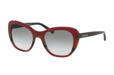 Image of Coach L1631 HC8204 Sunglasses 54458E-52 - Aubgn Cognac Varsity Stripe Frame, Green Gradient Lenses