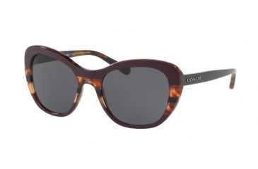 Image of Coach L1631 HC8204 Sunglasses 547887-52 - Oxblood Tort Varsity Stripe Frame, Dark Grey Solid Lenses