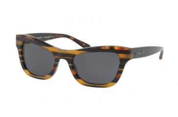 Image of Coach L1653 HC8223 Sunglasses 544087-53 - Blk Amber Gltr Varsity Stripe Frame, Dark Grey Solid Lenses