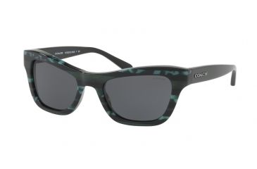 Image of Coach L1653 HC8223 Sunglasses 547687-53 - Emerald Glitter Varsity Stripe Frame, Dark Grey Solid Lenses