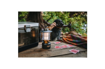 Image of Coleman 1900 Collection AAA 600 Lumen LED Lantern, Black, CM1011510001-22