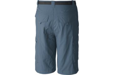 Image of Columbia Silver Ridge Cargo Shorts - Mens, Mountain, 32, 10 Inch, 1441701441-32-10