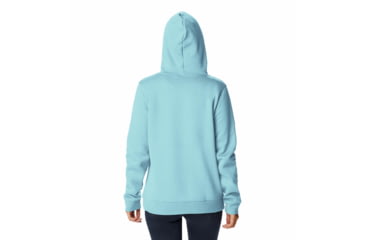 Image of Columbia Trek Graphic Hoodie - Womens, Aquamarine/Scripted Brand, Large, 1959881481A
