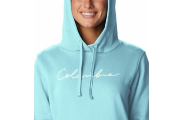 Image of Columbia Trek Graphic Hoodie - Womens, Aquamarine/Scripted Brand, Large, 1959881481A