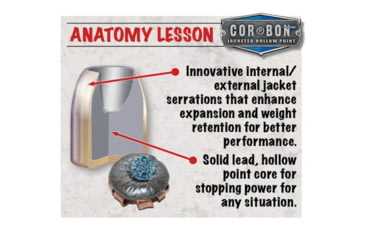 Image of Cor Bon 40 S&amp;W 165 Grain Jacketed Hollow Point Brass Cased Pistol Ammo, 20 Rounds, SD40165/20