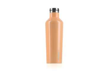Image of Corkcicle Classic Canteen, Tropical Delight, 16oz, 2016GTL