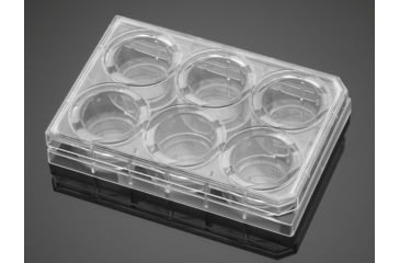 Image of Corning PLATES6WL Biocoat Matrigel CS5 354671