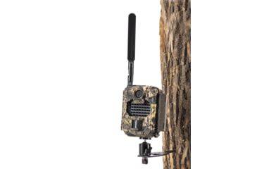 Image of Covert Scouting Cameras Covert Camera T60 Basic Tree Mount W/ball Mount 2-pack