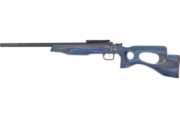 Image of Crickett Extreme Bolt Action Rifle With Thumbhole Stock, .22 Long Rifle, 16.12in Barrel