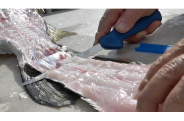 Image of Cuda AquaTuff Fillet Knife with Blade Cover, Blue, 6in, 23045