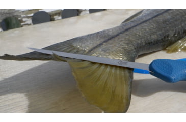 Image of Cuda AquaTuff Fillet Knife with Blade Cover, Blue, 6in, 23045