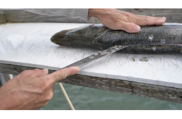 Image of Cuda AquaTuff Serrated Utility Knife with Blade Cover, Blue, 9in, 23048