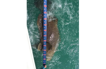 Image of Cuda Knives Cuda Fish Measure, 120in X 2.75in, Water-Resistant, Tear-Resistant Construction, Foldable For Easy Storage, Secure End For Accurate Fish Measuring, 18135