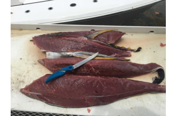 Image of Cuda Knives Cuda Flex Fillet 7 Fixed Blade Knife, 7in, German 4116 Steel, Standard Edge, Blue, Synthetic Handle, 18090