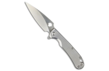 Image of Daggerr Knives Daggerr Knives Zhalo Frame Lock Flipper Knife Brushed Steel 3.9" Satin, Silver, D2, adult, BHQ-218804