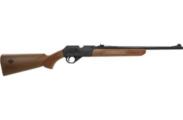 Image of Daisy Model Bsa 1910 Single Pump Air Rifle .177 Bb/pellet