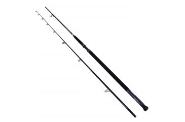 Image of Daiwa Emcast Surf 2pc LnWt 15-30 ECA1002MHFB