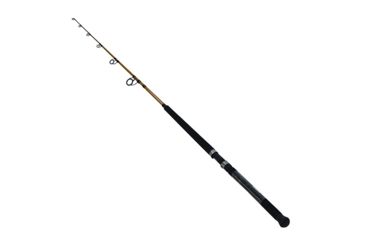 Image of Daiwa FT Boat 1pc LnWt 30 - 50 FTB701HFS