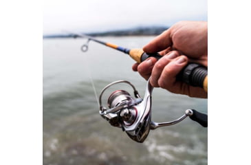 Image of Daiwa TD Sol Inshore Rod, Medium-Light, Fast, Spin, 8-17lb, 76, TDSOL76MLFS