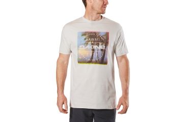 Image of Dakine Postcard Palms T Shirt, SILVER GREY, S, 10001879-SILVEE