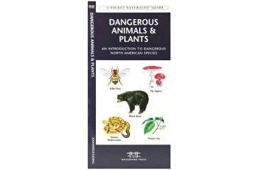 Image of Independent Pub Gd Wild Foods &amp; Useful Plants 9781613746981