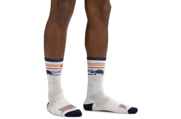 Image of Darn Tough Pacer Micro Crew Ultra-Lightweight Running Sock - Mens, Ash, Medium, 1041-ASH-M-DARN