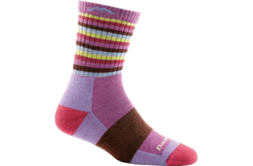Image of Darn Tough Stripes Micro Crew Cushion Sock - Womens, Plum Stripe, Small, 1904-PLUM-STRIPE-S-DARN