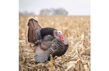 Image of Dave Smith Decoys Jake Strutter Decoy
