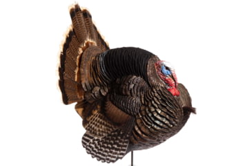 Image of Dave Smith Decoys Jake Strutter Decoy