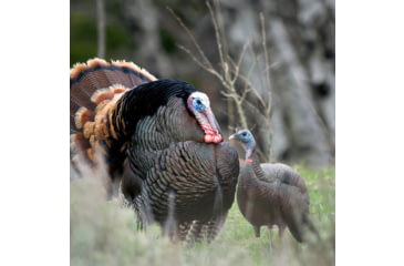 Image of Dave Smith Decoys Upright Hen Decoy