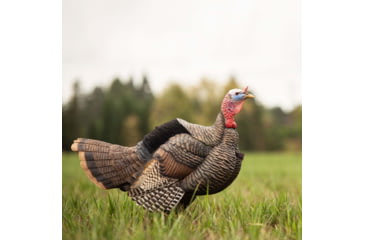 Image of Dave Smith Decoys Decoys Posturing Jake Decoy