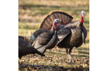 Image of Dave Smith Decoys Decoys Posturing Jake Decoy