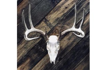 Image of Dead Deer Euro Hanger Mount, Black, Mid Sized Big Gam DDEH7