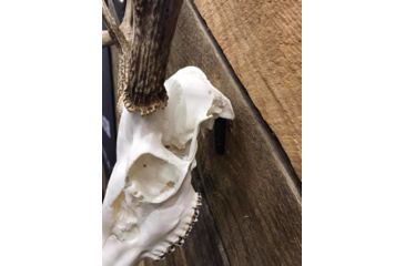 Image of Dead Deer Euro Hanger Mount, Black, Mid Sized Big Gam DDEH7