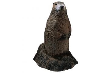 Image of Delta McKenzie Backyard 3D, Woodchuck 50515