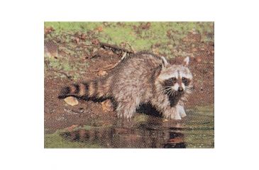 Image of Delta McKenzie Tru-Life Target, Raccoon 70530