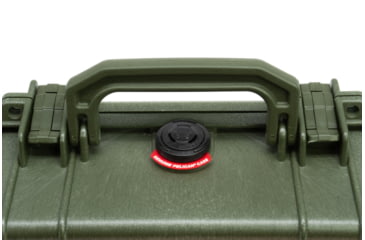 Image of Demerbox DB1 Speakers, Pesaro Green, DB1-1150-ODG