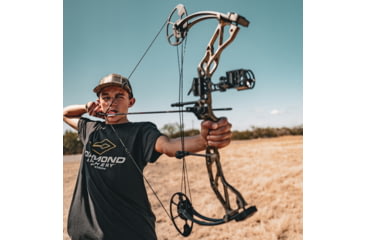Image of Diamond Radian Bow Package 1503424