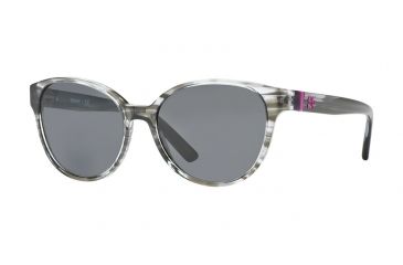 Image of DKNY DY4117 Single Vision Prescription Sunglasses DY4117-344987-55 - Lens Diameter 55 mm, Frame Color Striped Grey