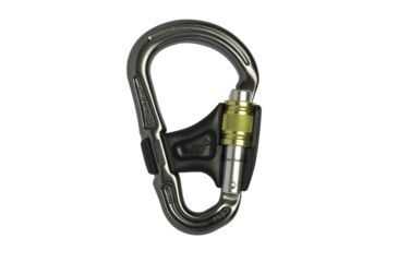 Image of DMM Belay Master 2 Screw Gate Carabiner-Silver
