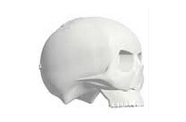 Image of Do All Outdoors Bonehead High Cal Spinner, 8 in. Wide BHHC