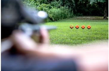 Image of Do All Outdoors Pigeon Perch Target