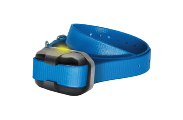 Image of Dogtra 1900X Additional Receiver, Blue, 1409824