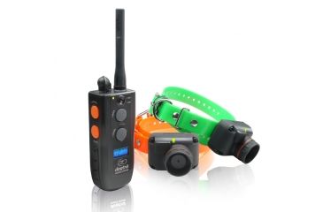 Image of Dogtra 2502T&amp;B Training Collars, Orange/Green, 2502T&amp;B