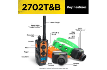 Image of Dogtra 2702T&amp;B, Orange, 2702T&amp;B