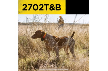 Image of Dogtra 2702T&amp;B, Orange, 2702T&amp;B