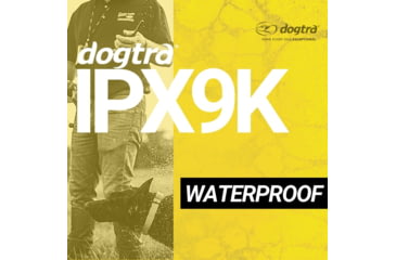 Image of Dogtra 2702T&amp;B, Orange, 2702T&amp;B